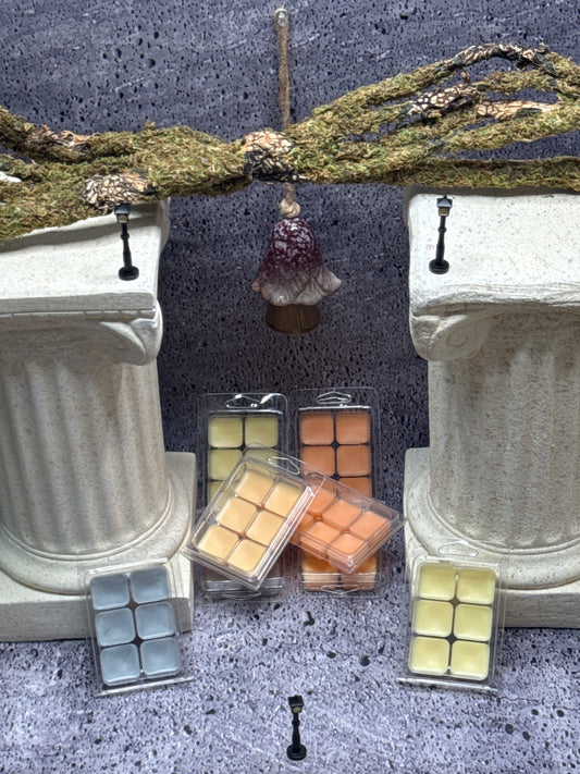 Santrice Khemixtry Wax Melts
